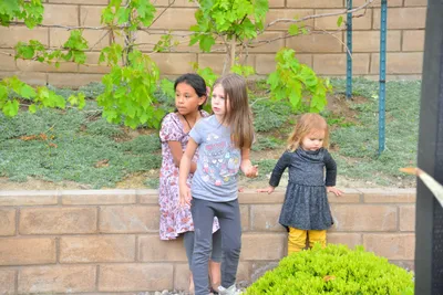 DSC_7432 (Large).JPG